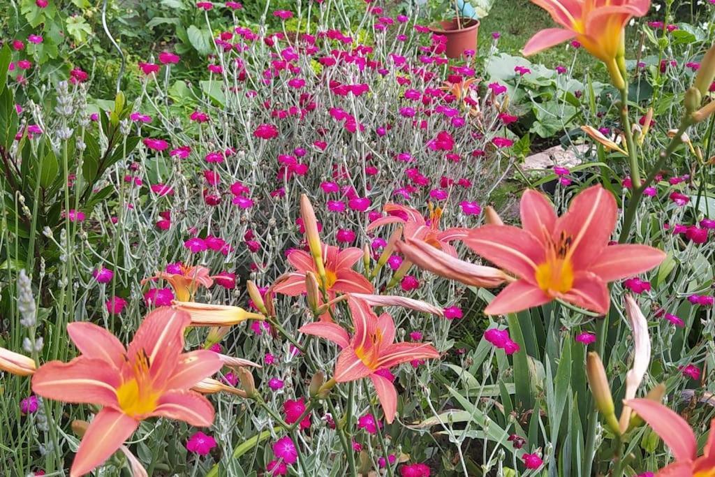 Les Lilas Hébergement de vacances